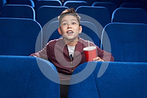 Delighted boy watching interesting film in cinema