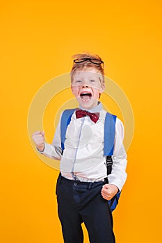 Delighted schoolboy celebrating victory on yellow background. Back to school