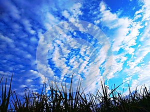 A delightful close up of an unexampled view of an extreme pattern of white clouds in dark blue sky