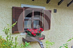 Delightful floral decoration in front of a window in a village house.