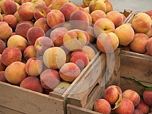 Delightful Peaches