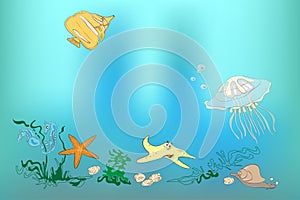 Underwater world: fish, shell, sea horses, starfish, snail, jell