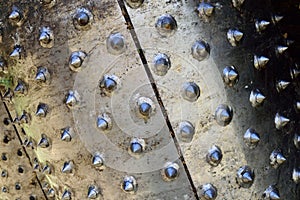 Delimber Feed Roller Detail