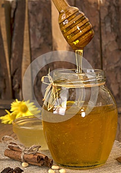 Delisious sweet honey flowing down in glass jar.