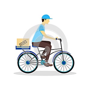 Delivery Bicycle Man with Carton Box. Vector