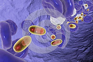 Delivery of medicines inside polymer nanoparticles