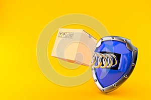 Delivery protection concept