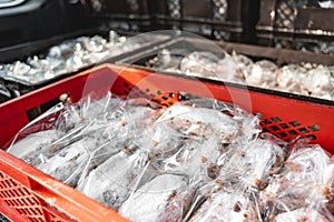 Delivery truck with Stollen Christmas pie packed in trunk near bakery shop.