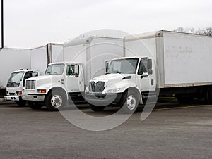 Delivery Trucks