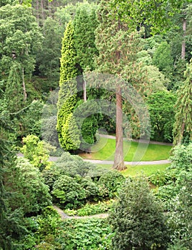 Dell in Bodnant Garden photo