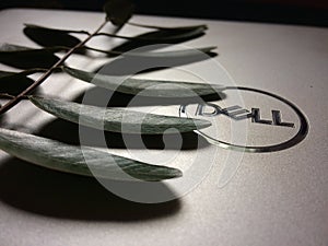 Dell Logo with leaf .