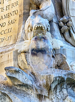 Della Porta Fish Fountain Piazza Rotunda Rome Italy