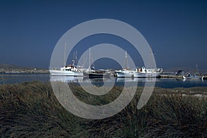 Delos island near Mykonos Kyklades Greece June 1981