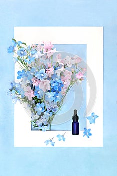 Delphinium Flower Homeopathic Herbal Medicine Background