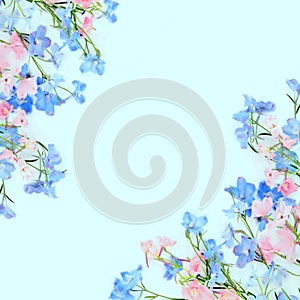 Delphinium Wild Flower Abstract Summer Background