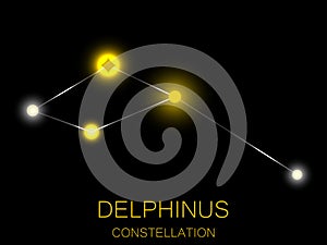 Delphinus constellation. Bright yellow stars in the night sky. A cluster of stars in deep space, the universe. Vector illustration