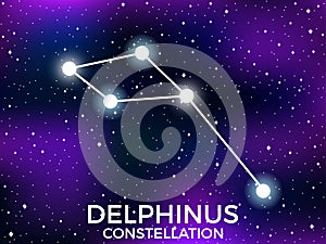 Delphinus constellation. Starry night sky. Cluster of stars and galaxies. Deep space. Vector photo