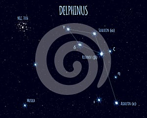Delphinus constellation, vector illustration with the names of basic stars