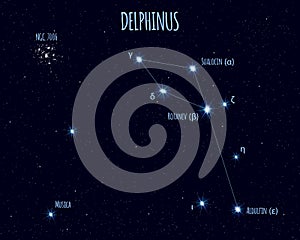 Delphinus constellation, vector illustration with the names of basic stars photo