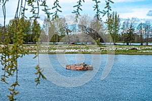 Delta of Dalalven river in southern norrland. Spring in Sweden. Scandinavia