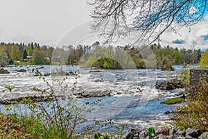 Delta of Dalalven river in southern norrland. Spring in Sweden. Scandinavia