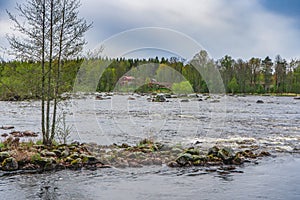 Delta of Dalalven river in southern norrland. Spring in Sweden. Scandinavia