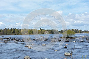 Delta of Dalalven river in southern norrland. Spring in Sweden. Scandinavia photo