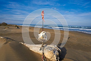 Delta del Ebro beach Punta del Fangar