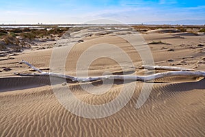 Delta del Ebro beach Punta del Fangar photo