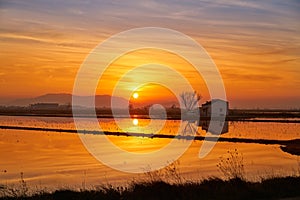 Delta del Ebro Ebre sunset in Deltebre photo
