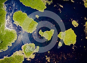Delta Dunarii Romania from above aerial view