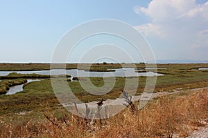 Delta Evros National Park, Evros Thraki