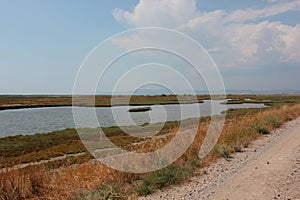 Delta Evros National Park, Evros Thraki