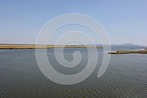 Delta Evros National Park, Evros Thraki