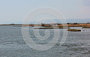 Delta Evros National Park, Evros Thraki