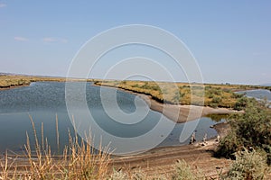 Delta Evros National Park, Evros Greece