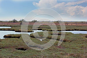 Delta Evros National Park, Evros Greece