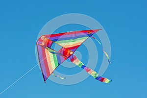 Delta kite in the sky