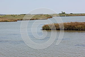 Delta Nestos - Vistonidas - Ismaridas National Park, Evros Thraki Greece