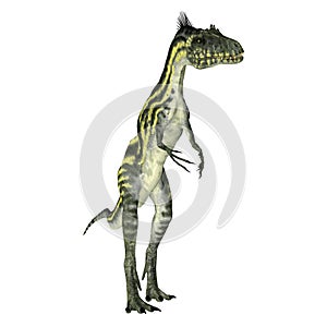 Deltadromeus Theropod Dinosaur