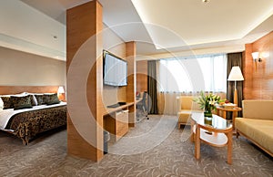 Deluxe hotel suite interior