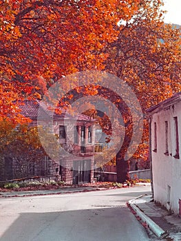 Delvinaki village in ioannina perfecture, autumn season , greece