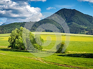 Beaty of Low Tatras mountains in Slovakia, Europe