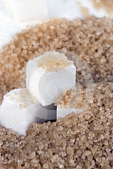 Demerara Sugar & Sugar Cubes-vertical