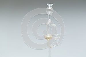 Demijohn with glass fermentation lock.