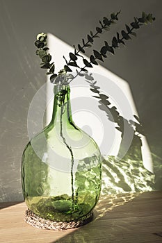 Demijohn vase with eucalyptus branches. Decorative glass vase