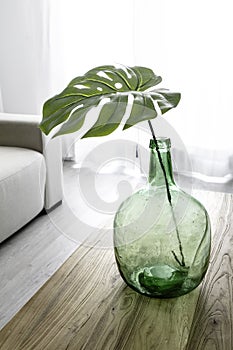 Demijohn vase with tropical leaf. Decoration glass vase.