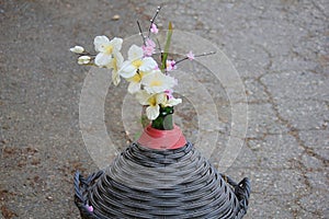 Demijohn with white flowers