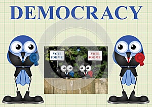 Democracy with politicians