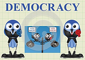 Democracy with politicians